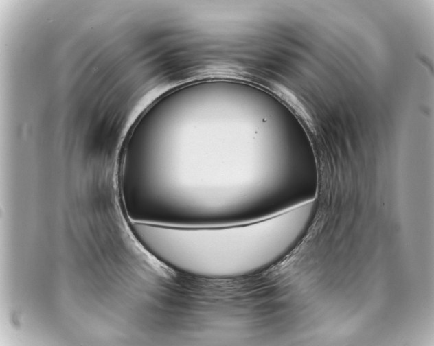 X0000094451339200711081039