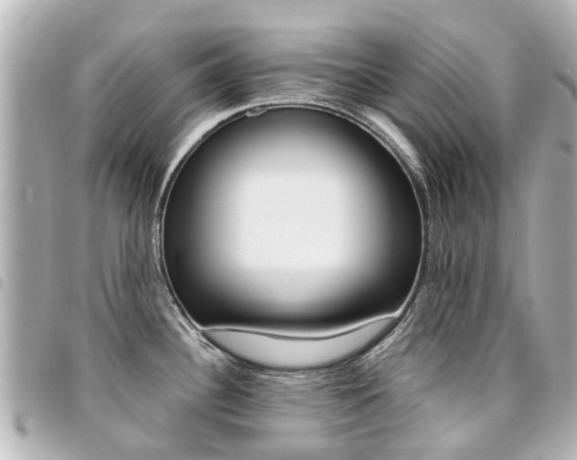 X0000094451340200711081039