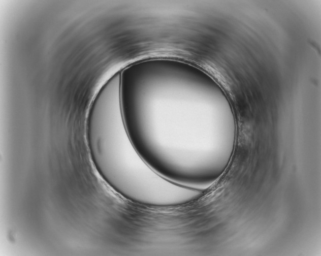 X0000094451342200711081039