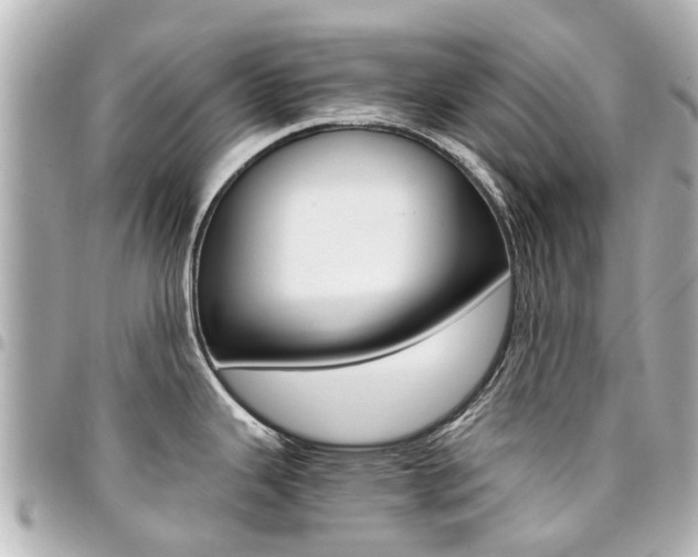 X0000094451343200711081039