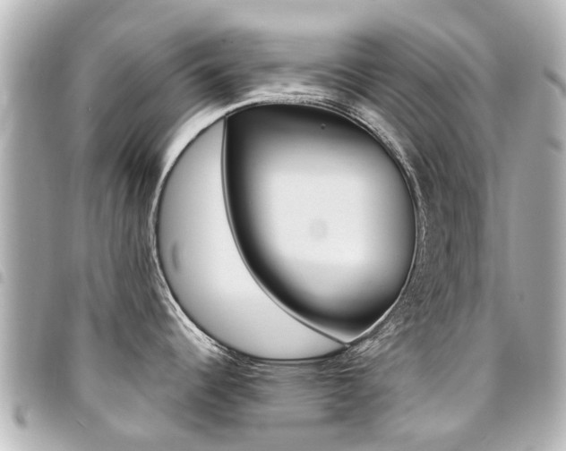X0000094451344200711081039