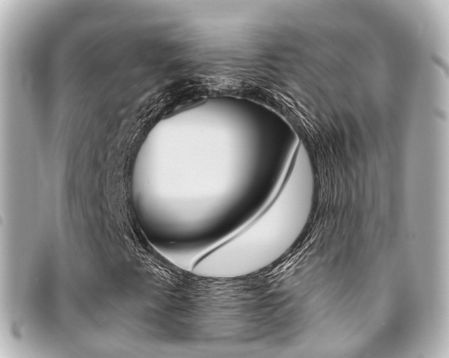 X0000094451345200711081038