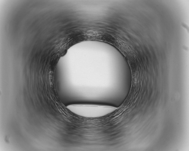 X0000094451346200711081038