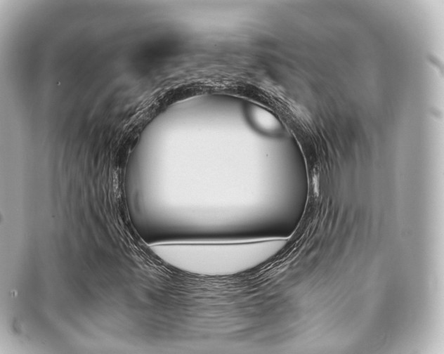 X0000094451347200711081038