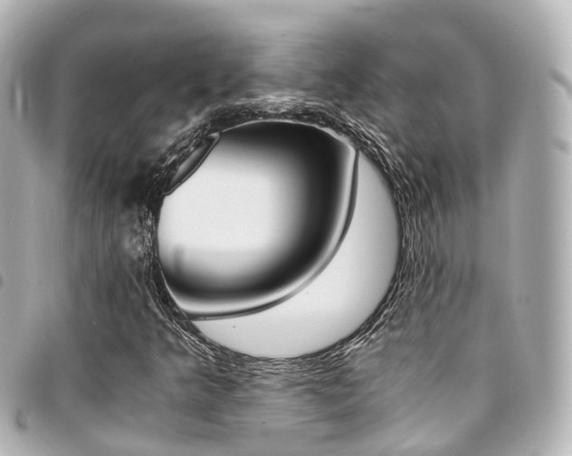 X0000094451349200711081038