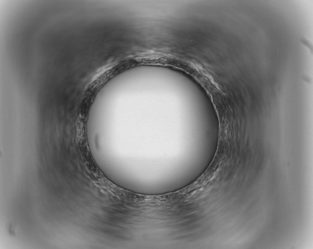 X0000094451350200711081038