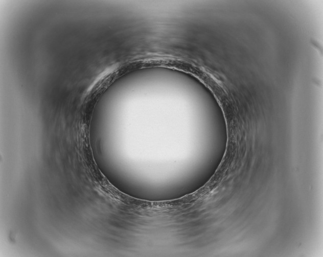 X0000094451351200711081038