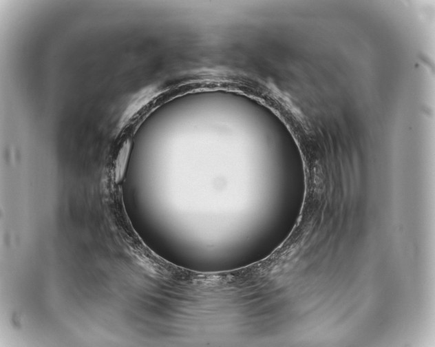 X0000094451352200711081038