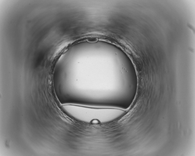X0000094451355200711081038
