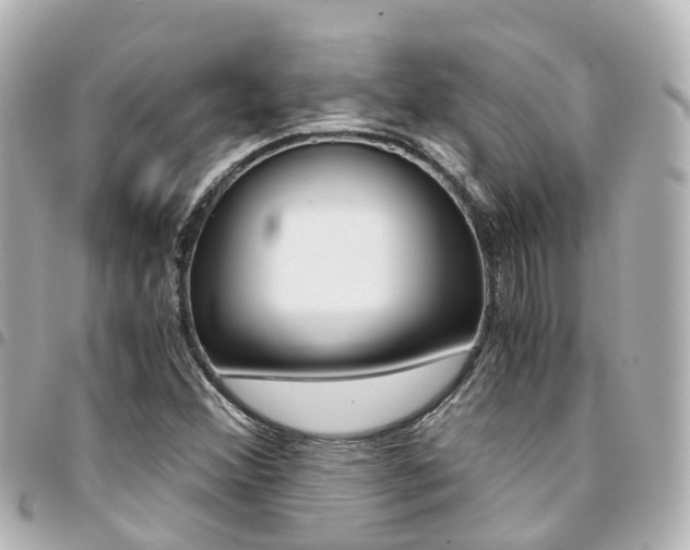X0000094451356200711081038
