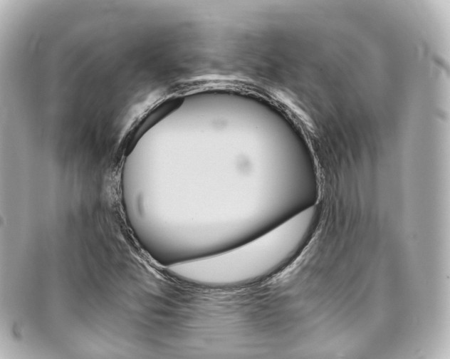 X0000094451357200711081038