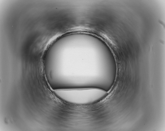 X0000094451358200711081038