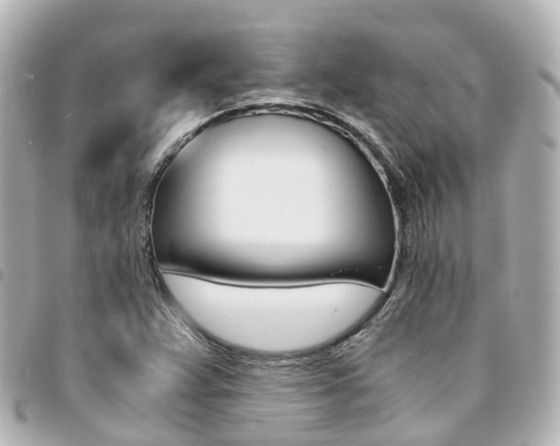 X0000094451359200711081038