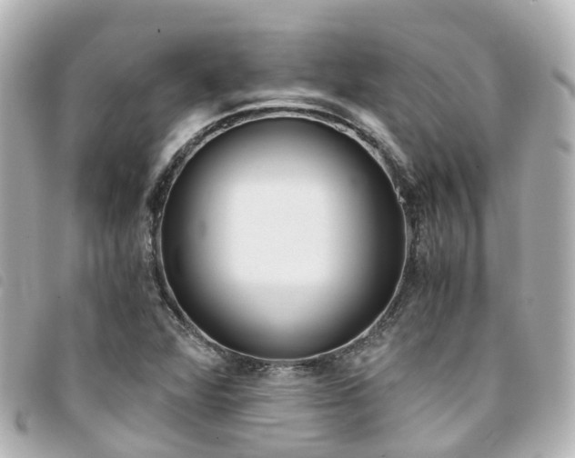 X0000094451360200711081038