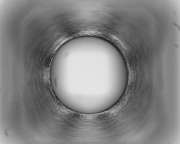 X0000094451361200711081038