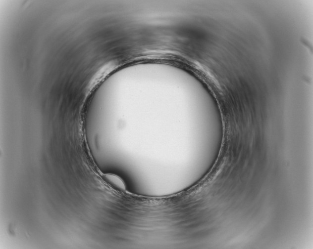 X0000094451362200711081038