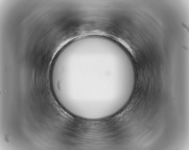X0000094451364200711081038