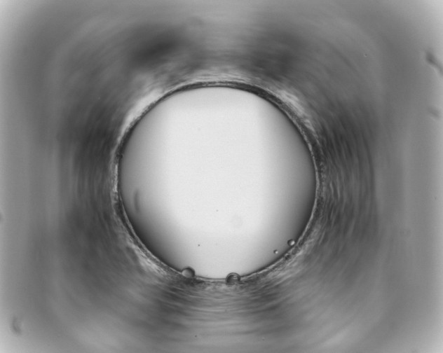 X0000094451366200711081038