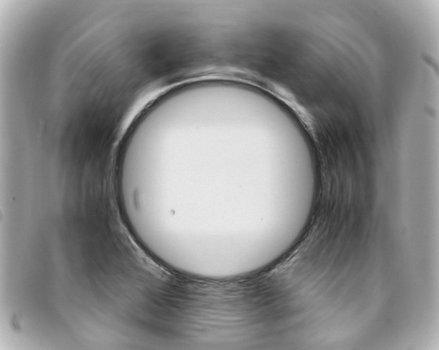X0000094451368200711081038