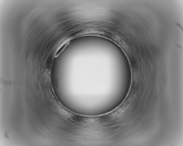 X0000094451369200711081038
