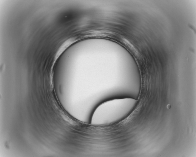 X0000094451370200711081038