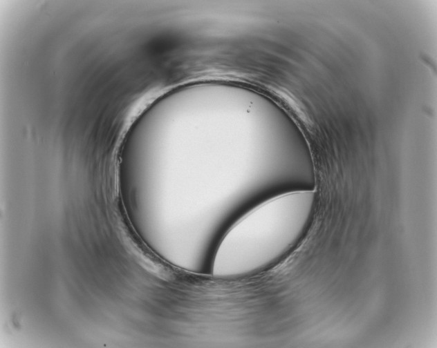 X0000094451371200711081038