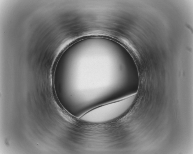 X0000094451372200711081038