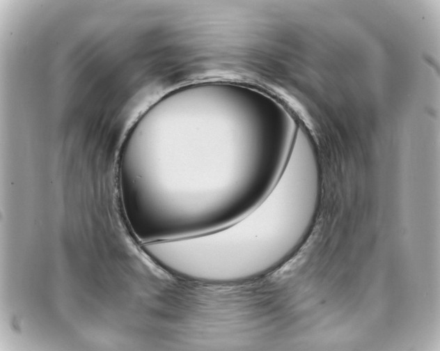 X0000094451373200711081038