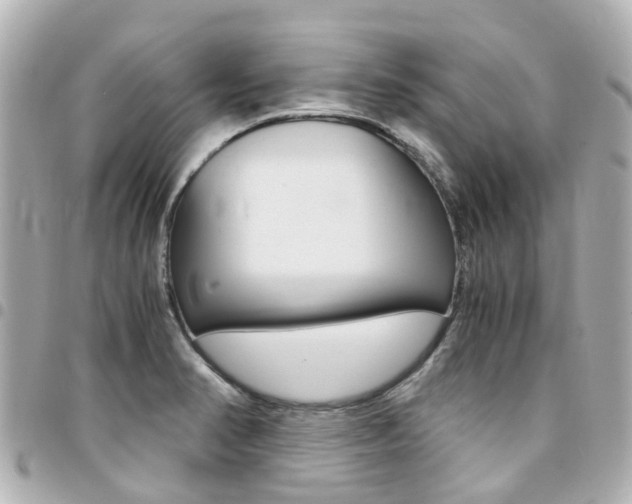 X0000094451374200711081038