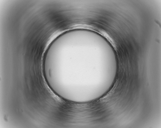 X0000094451376200711081038
