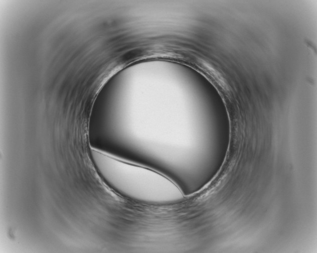 X0000094451377200711081038