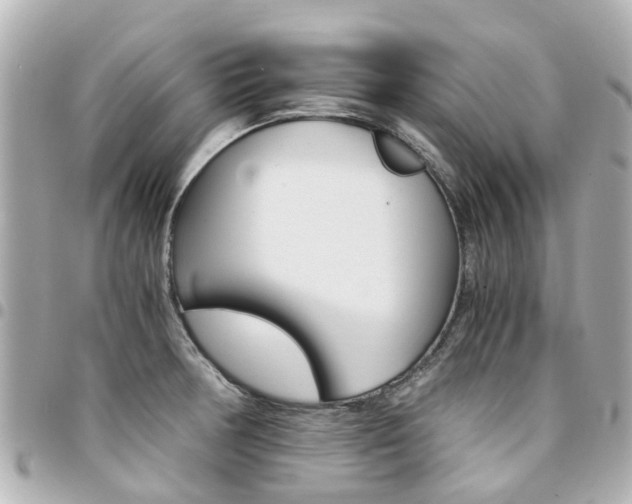 X0000094451378200711081038