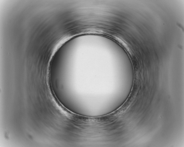X0000094451379200711081038