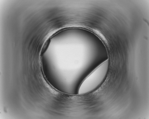 X0000094451380200711081038