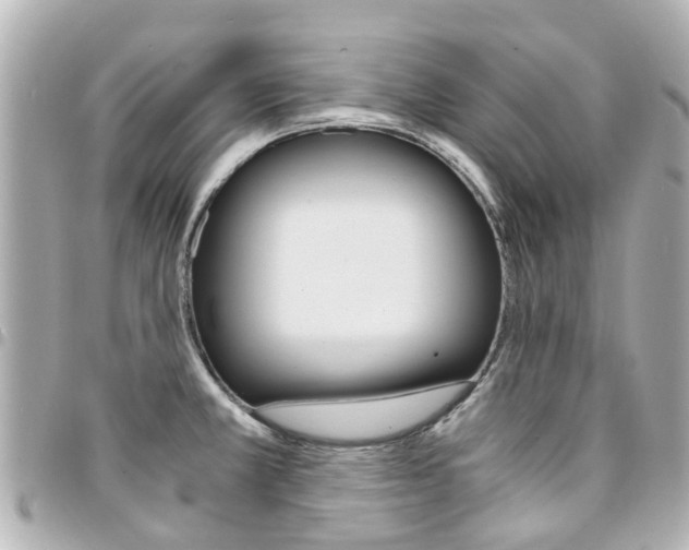 X0000094451381200711081038
