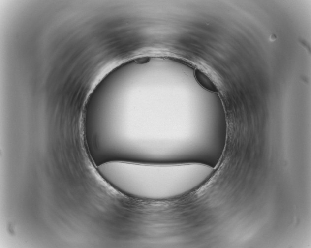 X0000094451382200711081038