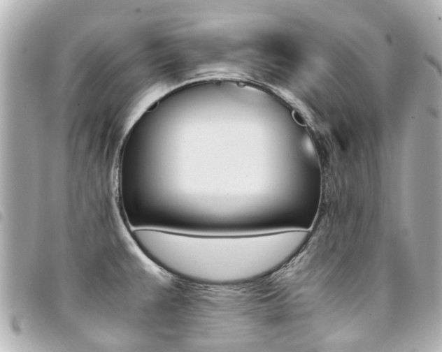 X0000094451383200711081038