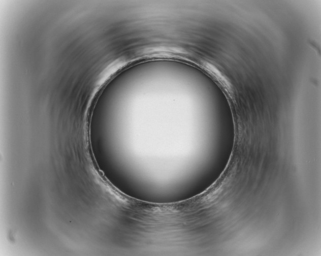 X0000094451384200711081038