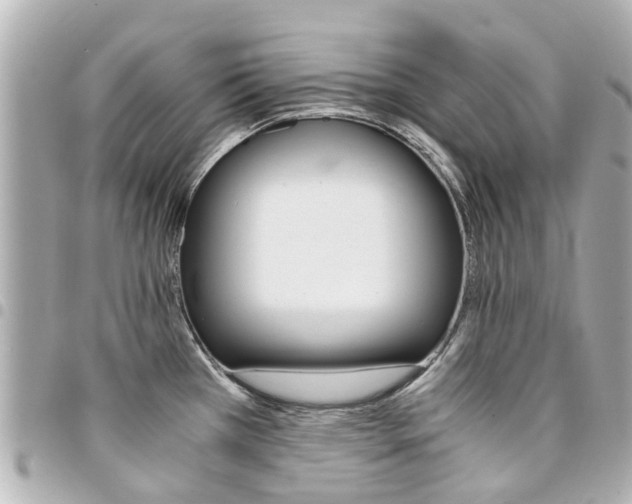X0000094451385200711081038