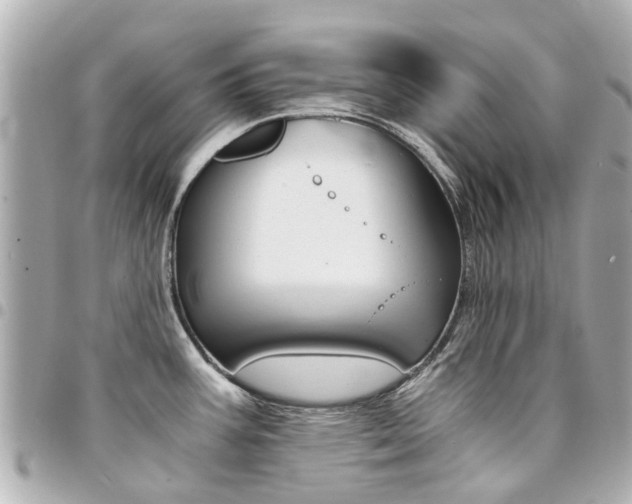 X0000094451387200711081038