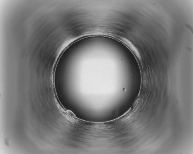 X0000094451388200711081038