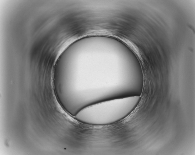 X0000094451390200711081037