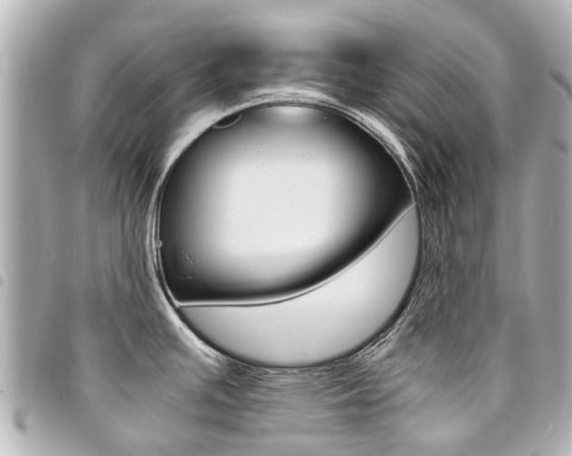 X0000094451391200711081037