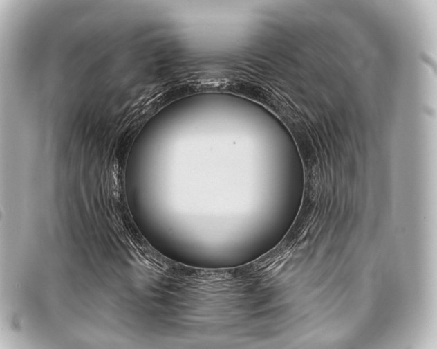 X0000094451394200711081037