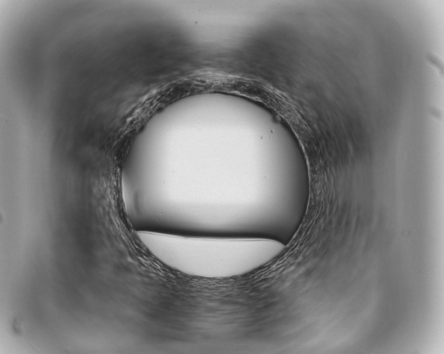 X0000094451397200711081037