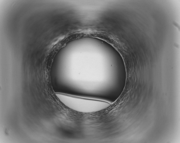 X0000094451398200711081037