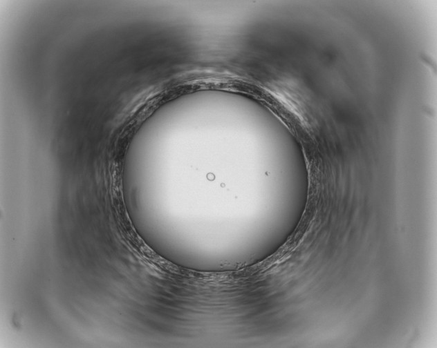 X0000094451399200711081037