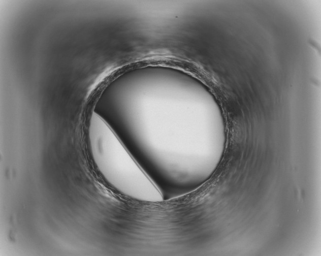 X0000094451400200711081037