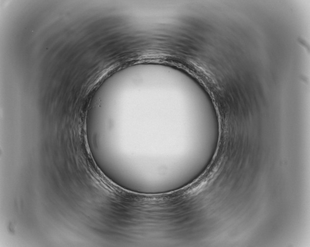 X0000094451401200711081037