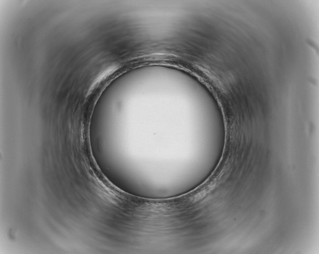 X0000094451402200711081037